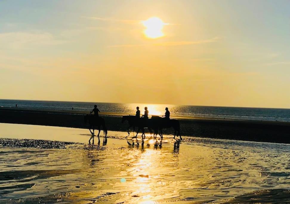 Le Camaieu Deauville Eksteriør bilde